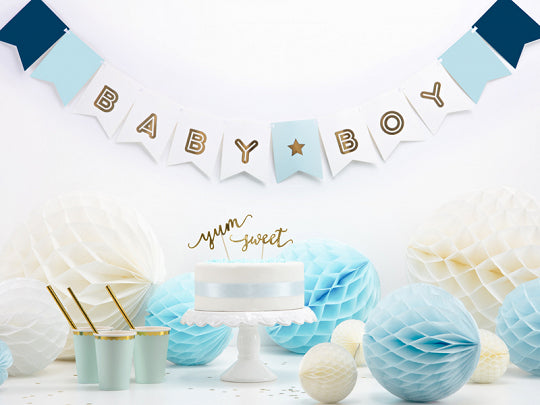 Banner Baby Boy  15 x 160 cm