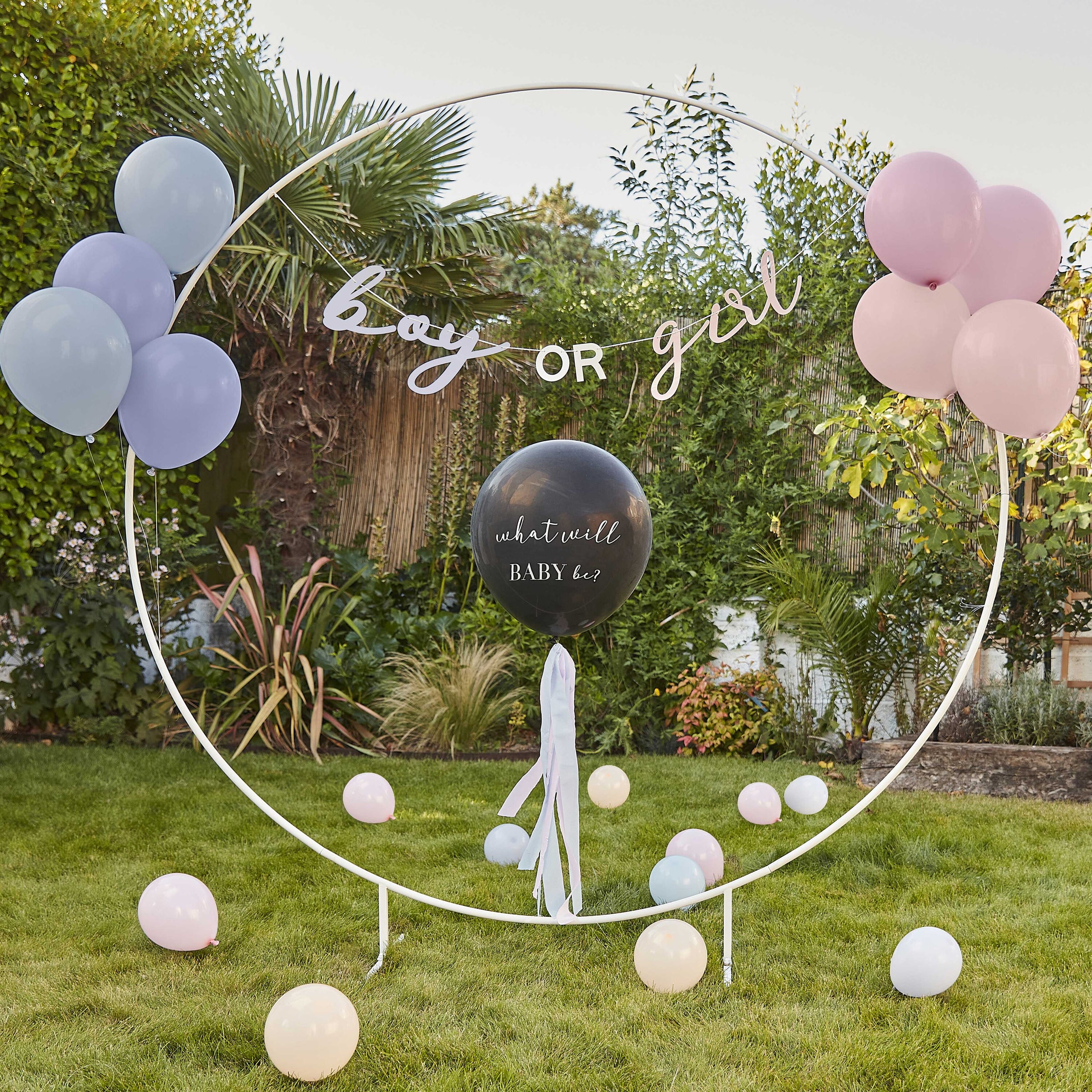 Gender Reveal