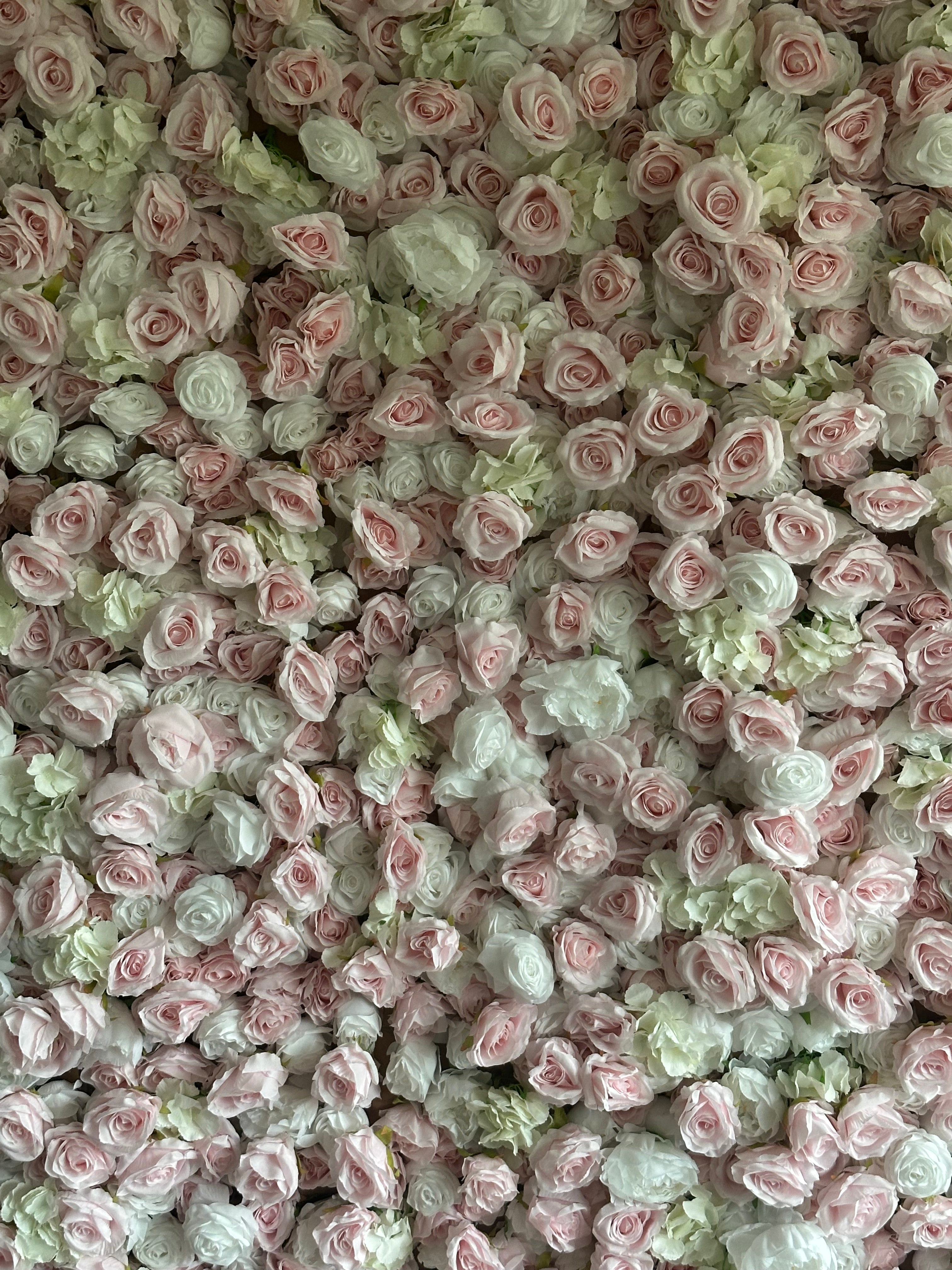 Lej Sofia Rose Blomstervæg