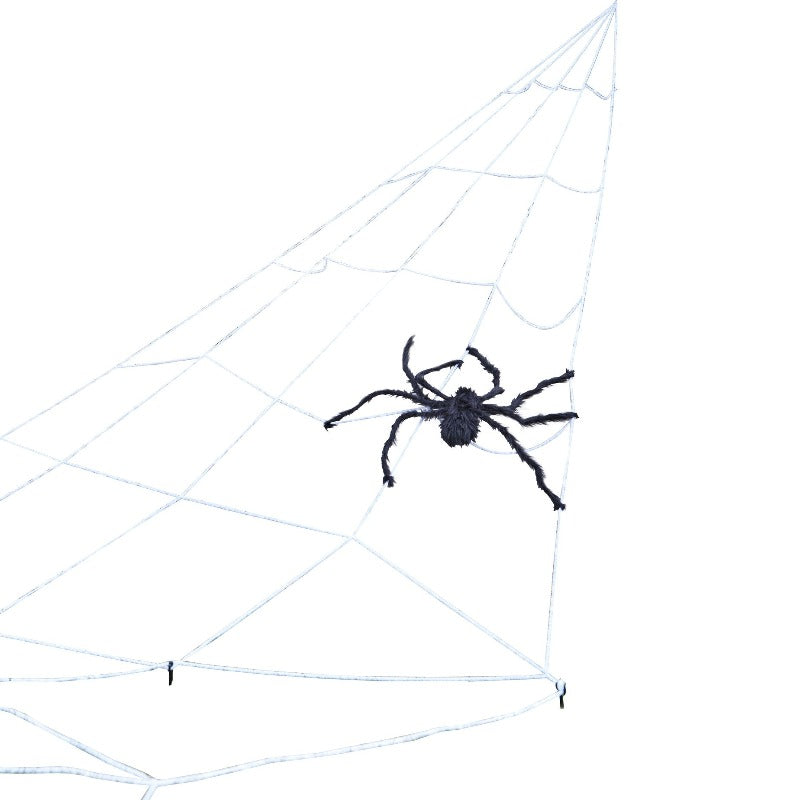 Halloween spindelvæv med edderkop